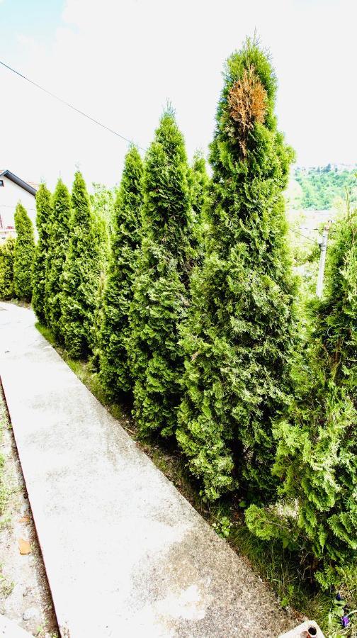 Apartmani In Zlatar Nova Varoš Esterno foto