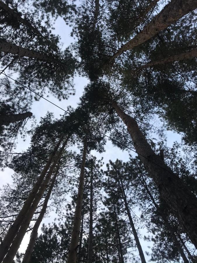 Apartmani In Zlatar Nova Varoš Esterno foto